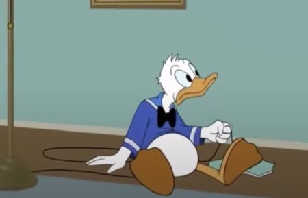 D.I.Y. Duck